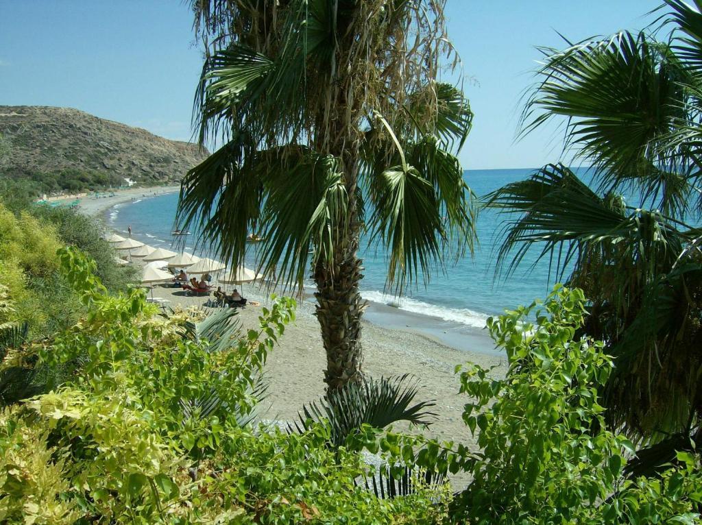 Patriko Village Home Pissouri Ngoại thất bức ảnh